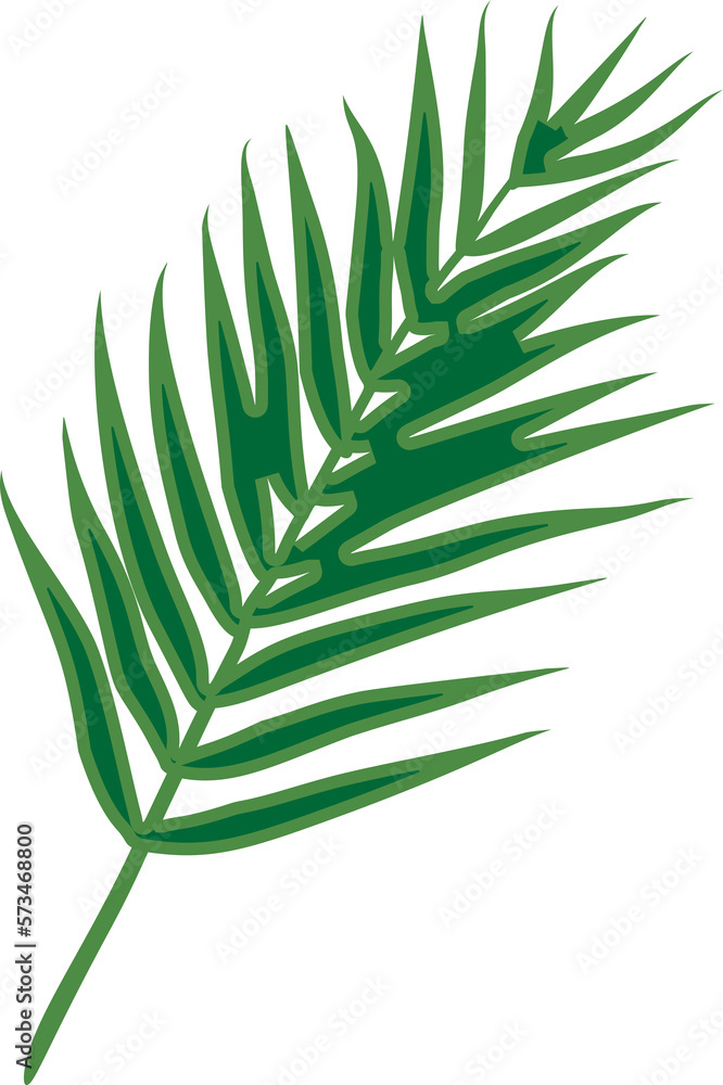 Tropical leaf vector