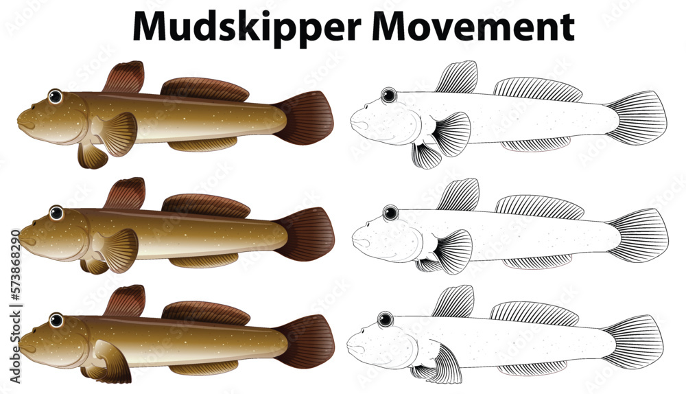 Mudskipper Movement Vector Concept