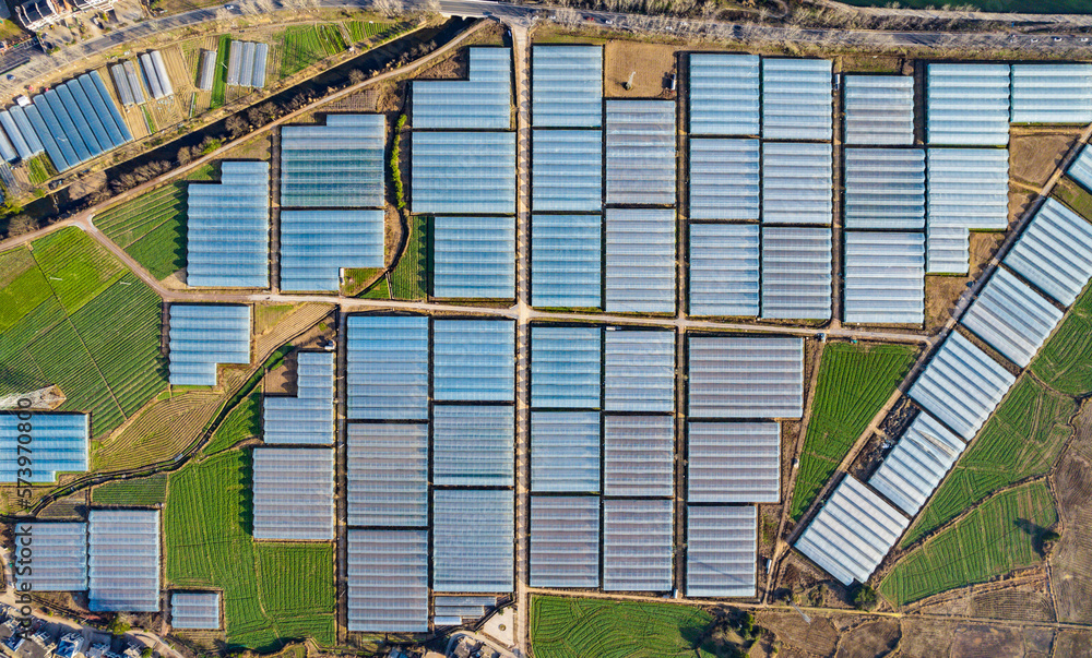 Aerial shot of greenhouses and plantations