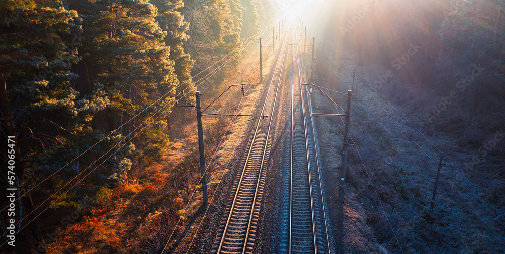 Discover the Magic of Autumn on a Train Ride through the Enchanted Forest