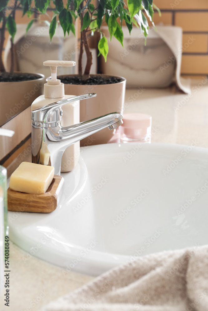 Ceramic sink, bath supplies and houseplant on table, closeup