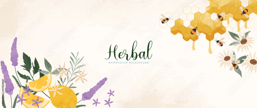 Botanical herbal watercolor background vector. Fresh aromatic lavender, flowers, honeycomb, bees, le