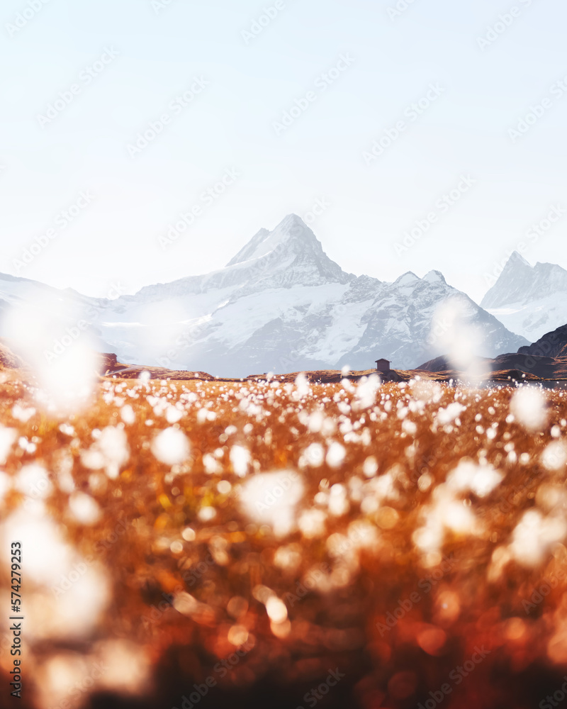 Picturesque view on Bachalpsee lake in Swiss Alps mountains. Snowy peaks of Wetterhorn, Mittelhorn a