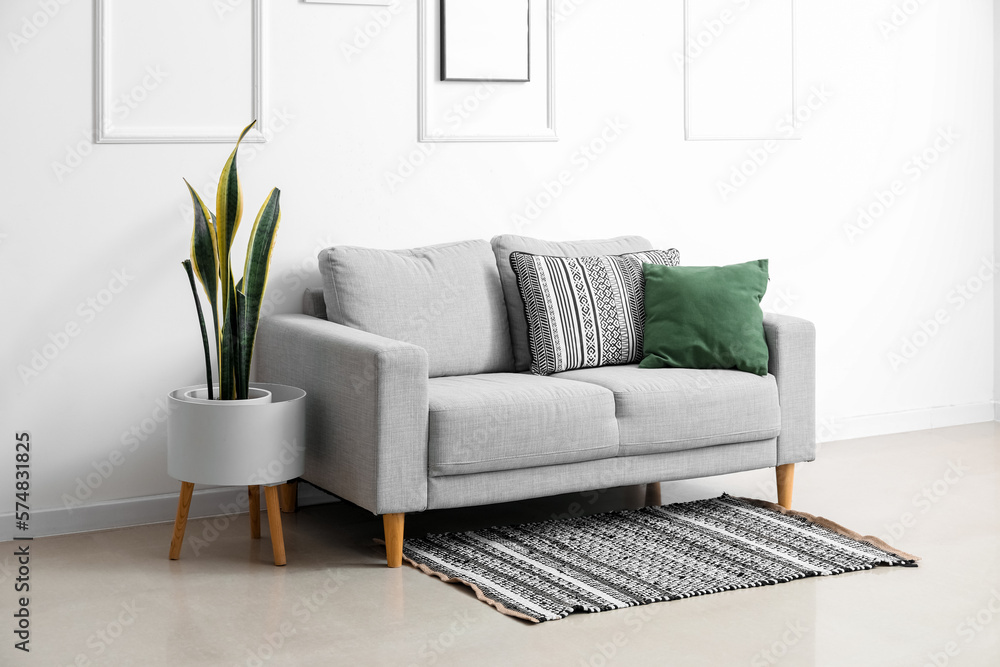 Interior of light living room with grey sofa, houseplant and rug