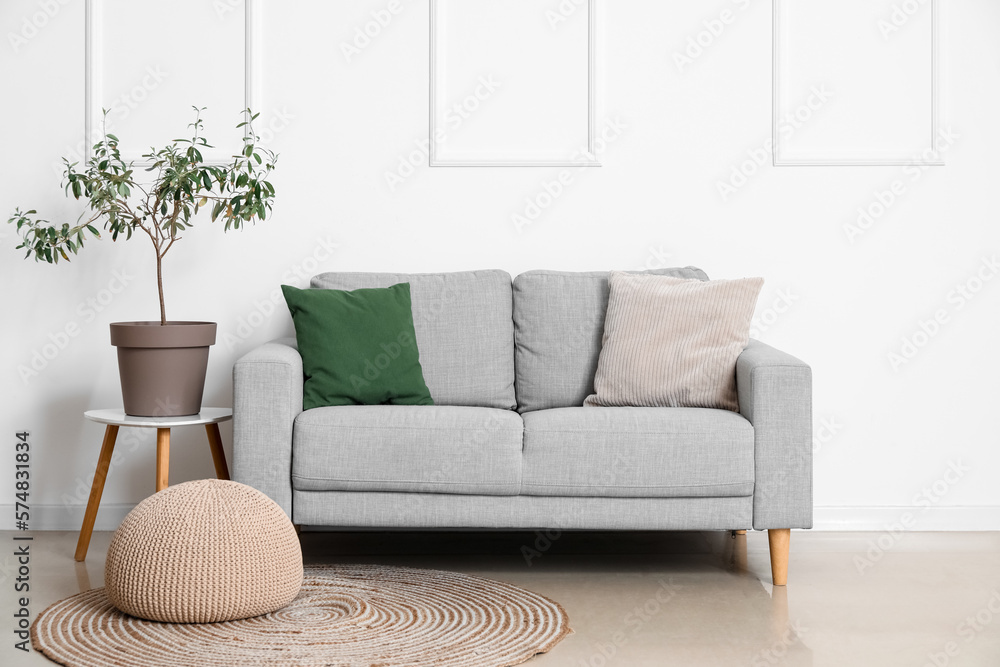 Interior of light living room with grey sofa, houseplant and pouf