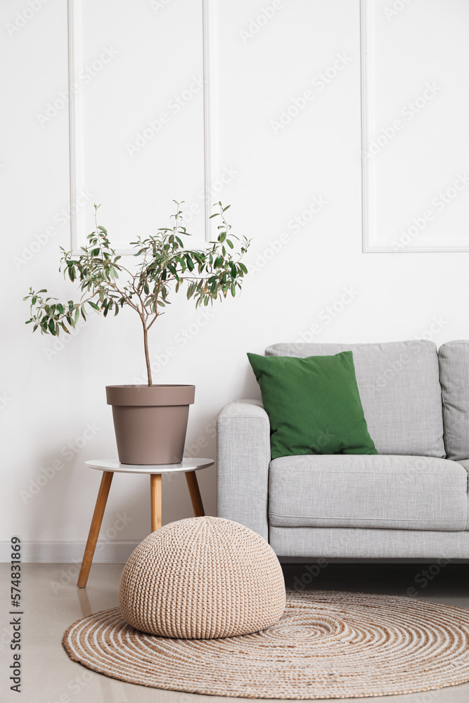 Interior of light living room with grey sofa, houseplant and pouf