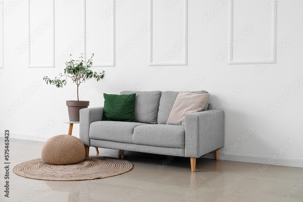 Interior of light living room with grey sofa, houseplant and pouf