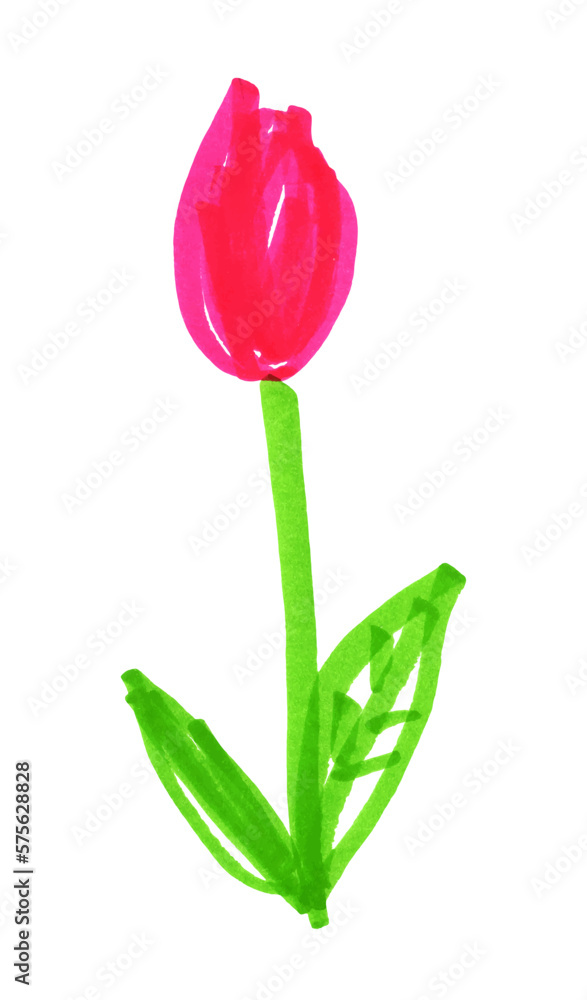 Felt pen childlike drawing of tulip flower