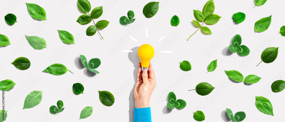 Person holding a light bulb with green leaves