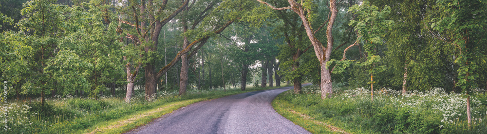 Foggy asphalt road in the morning in springtime.