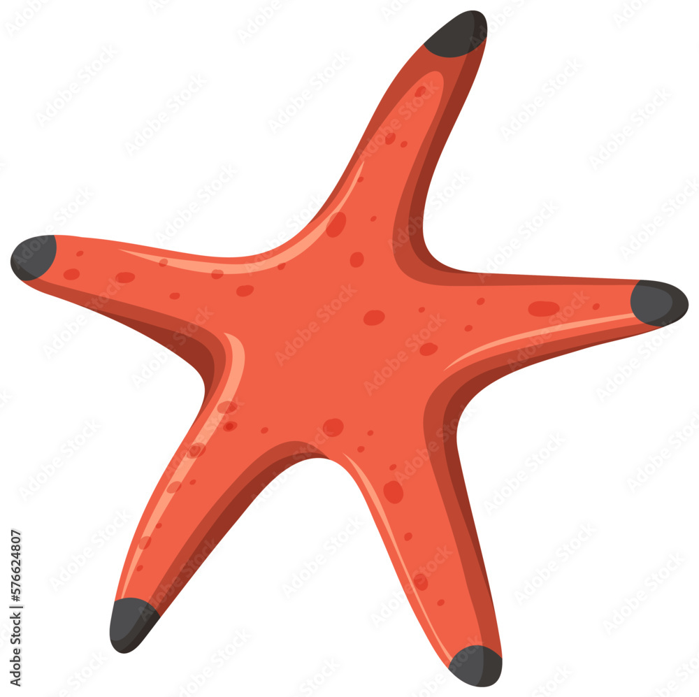 Isolated cartoon starfish shoreline animal