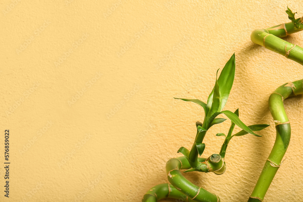 Bamboo branches on beige background, top view