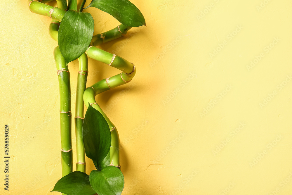 Bamboo branches on yellow background