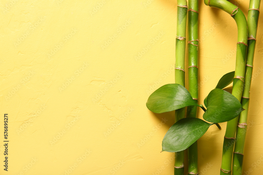 Bamboo branches on yellow background