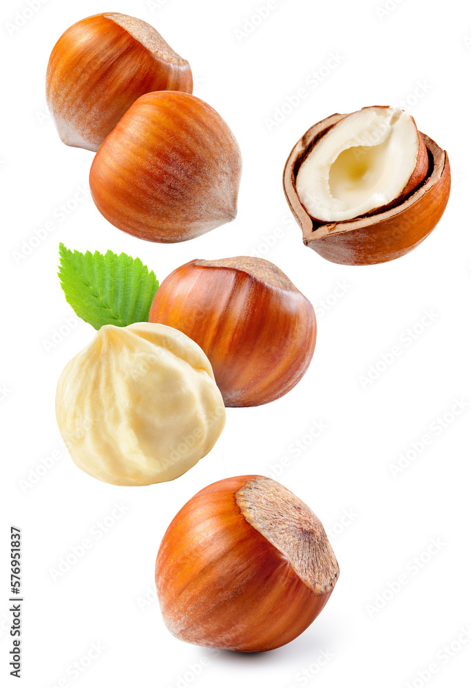 Hazelnut isolated. Hazelnut on white background. Hazelnuts with leaves flying collection. Forest nut