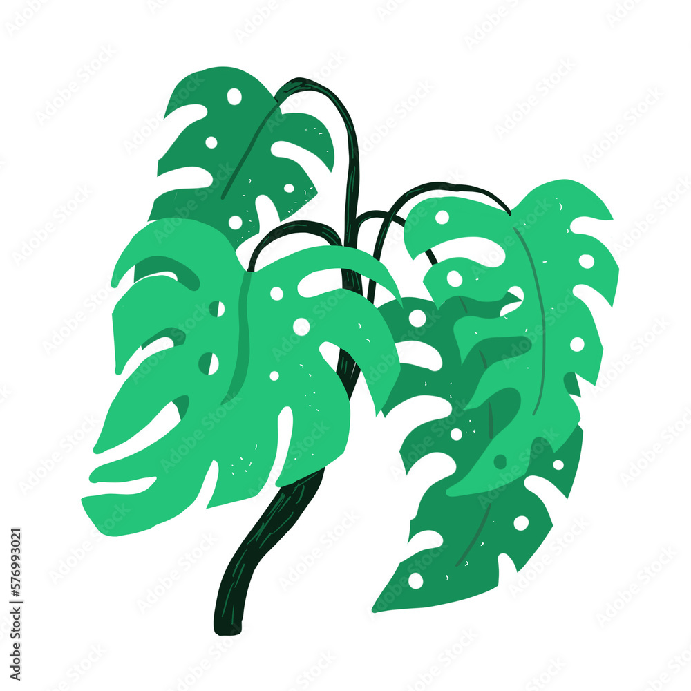 tropical monstera tree. doodle illustration