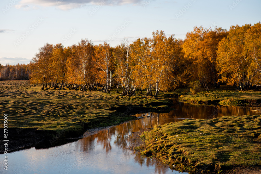 Autumn forest landscape near the Greater Khingan Mountains, Heilongjiang Province, China. The beauty