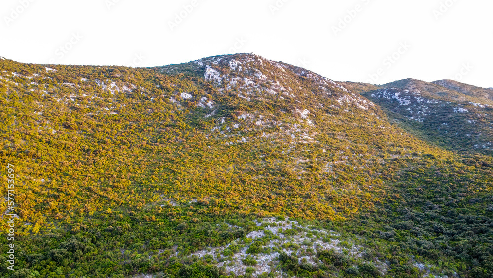 aerial view of a mountain range