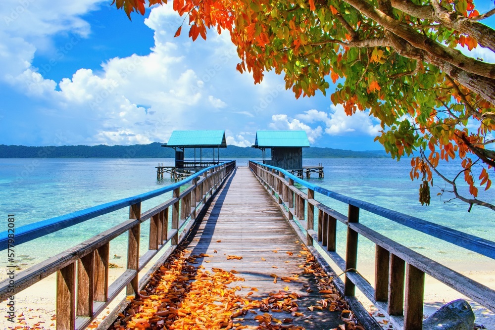 Beautiful scene of wooden pier above coral reef  - Arborek village,  Raja Ampat, West Papua, Indones