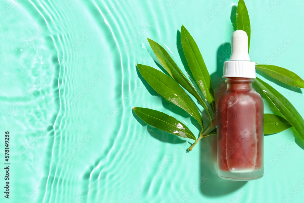 Bottle of olive essential oil and plant branch in water on color background