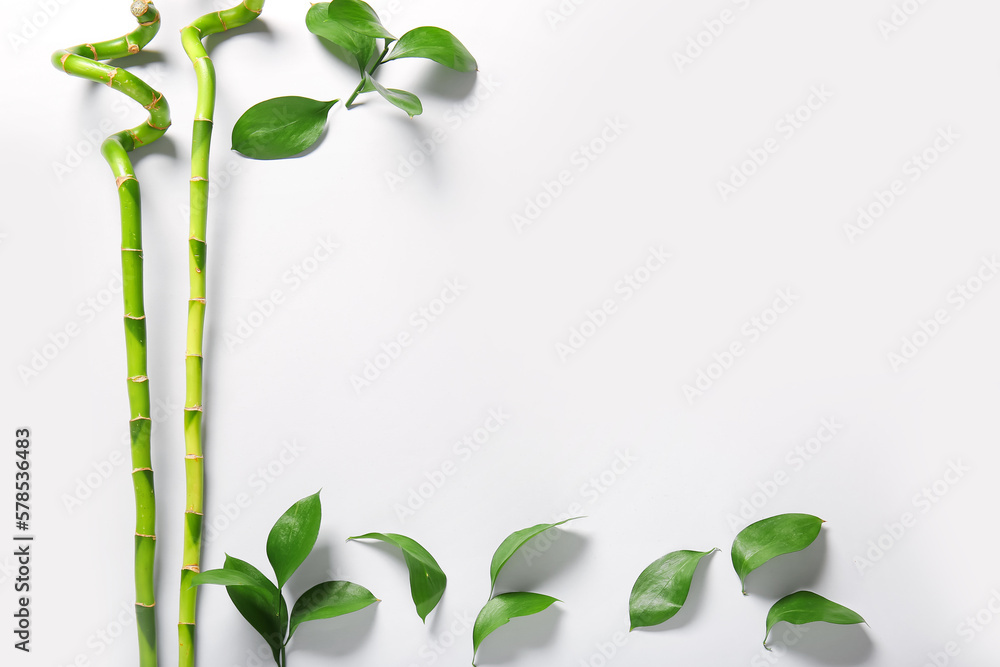 Bamboo branches and leaves on light background