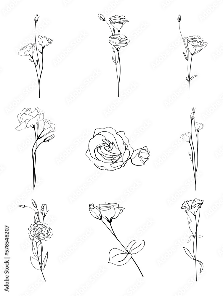 Collage of beautiful eustoma flowers on white background