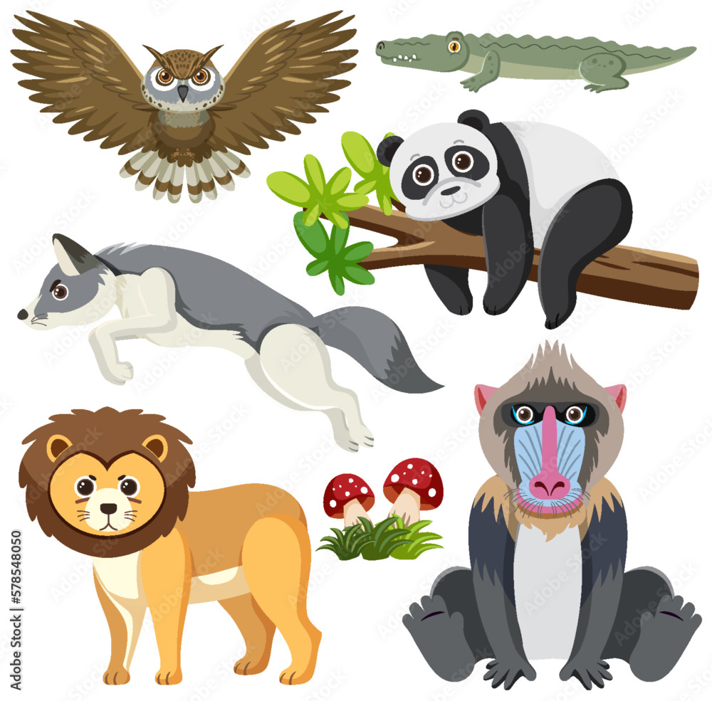 Wild Animals Cartoon Collection