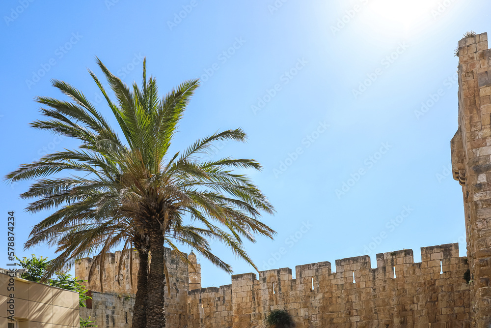 View of palm trees and Jaffa gate in Jerusalem