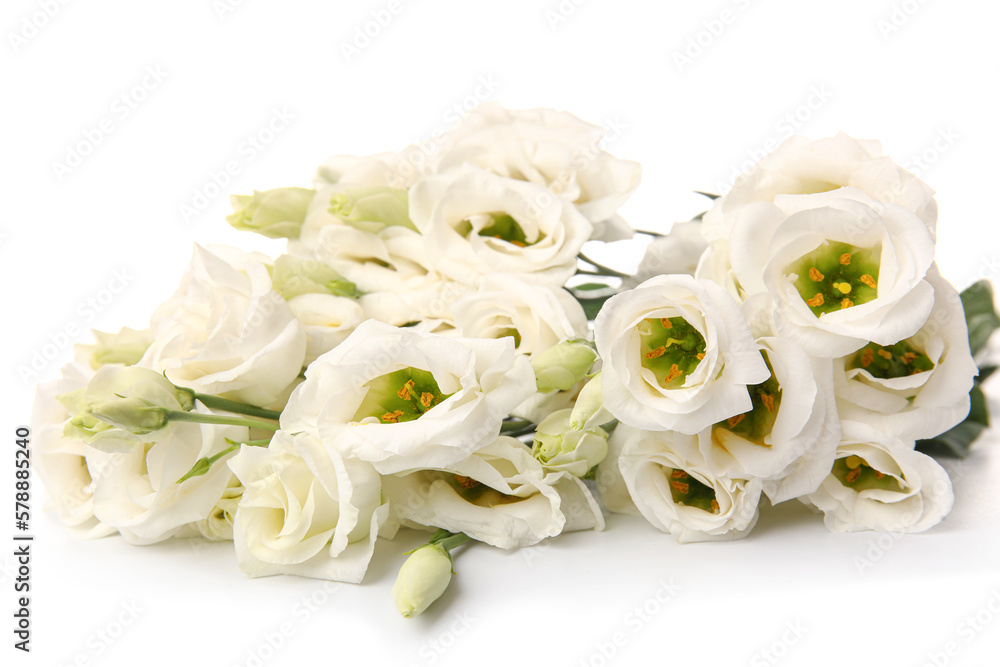 Bouquet of delicate eustoma flowers on white background, closeup