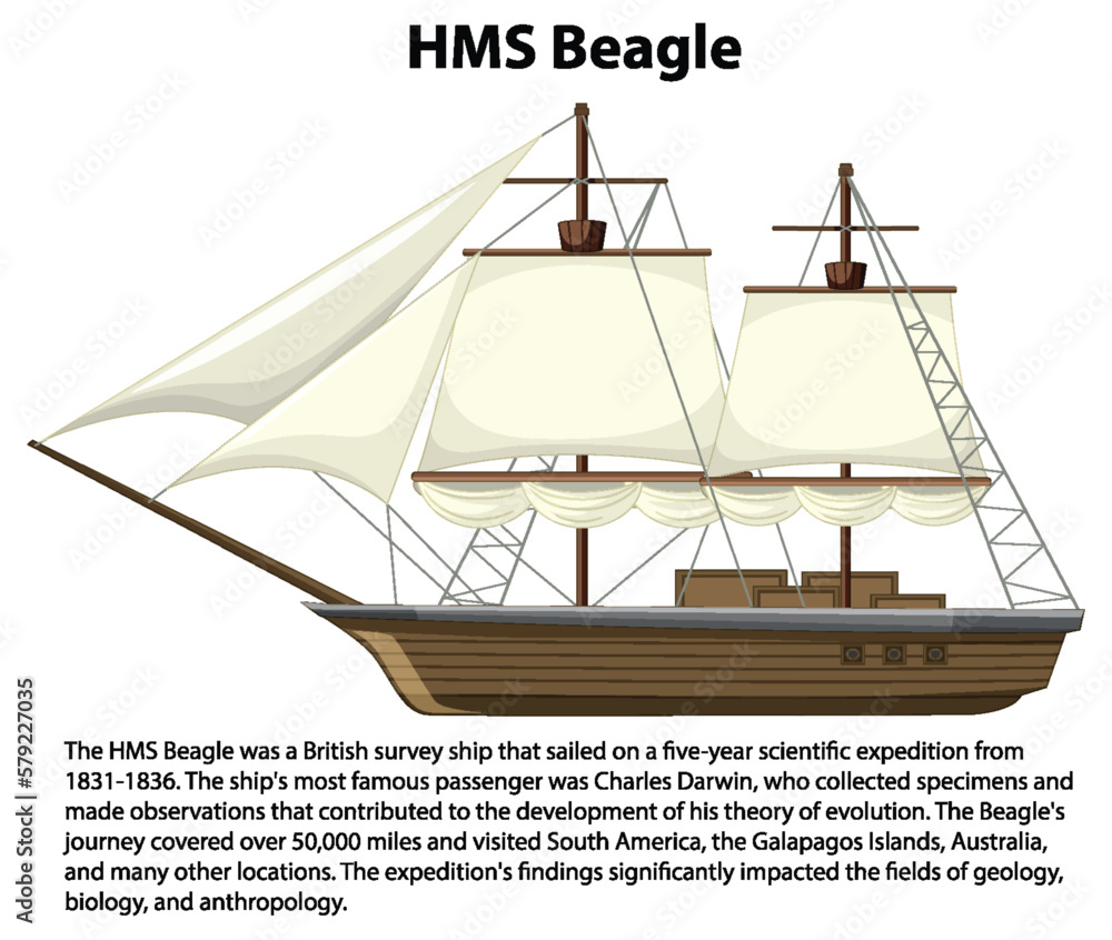 HMS Beagle ship informative poster