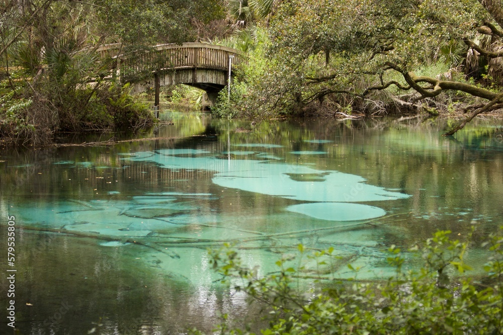 bridge over pond