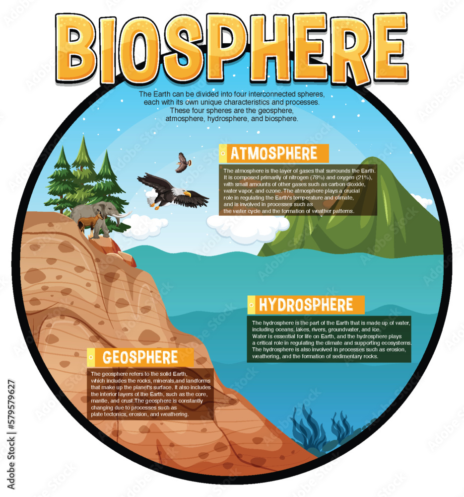 Biosphere Ecology Infographic for Learning