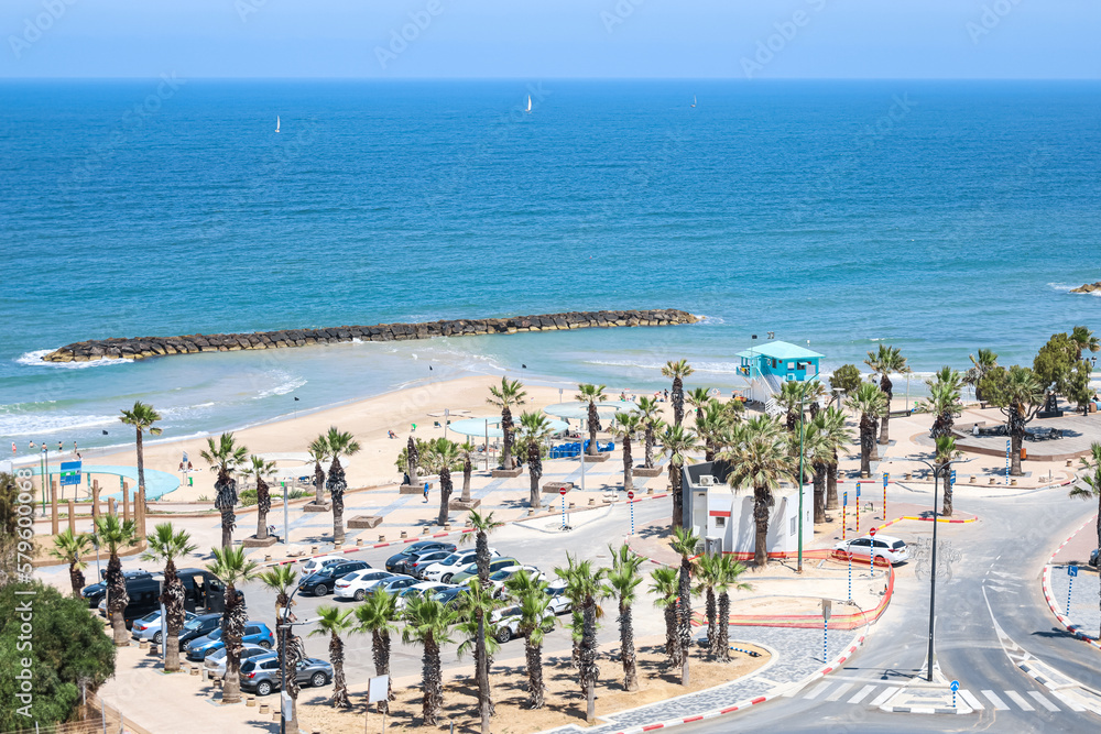 View of beautiful sea coast with palm trees and cars