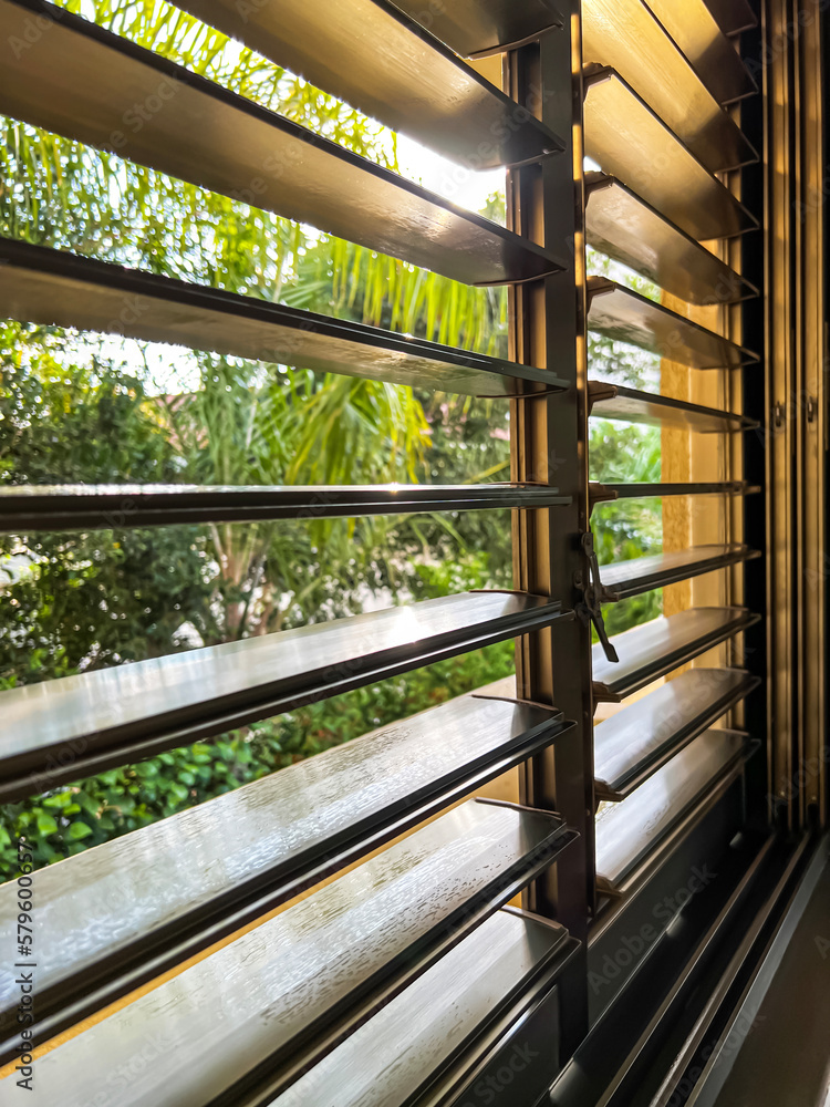 Window with black blinds in room, closeup