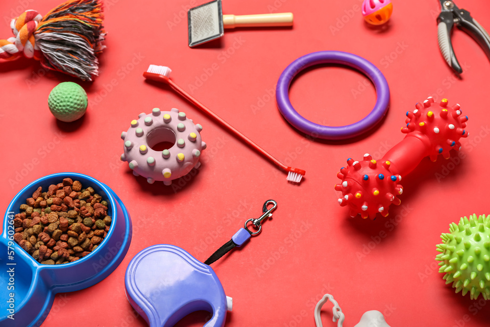 Set of pet care accessories and dry food on red background