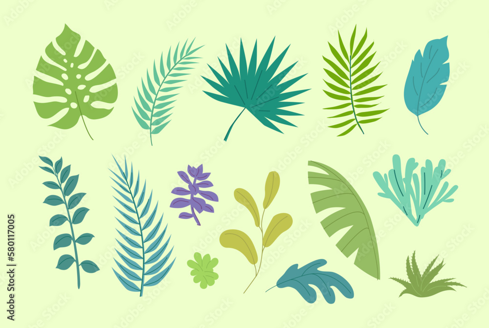 Green color tropical leaves and plants illustration