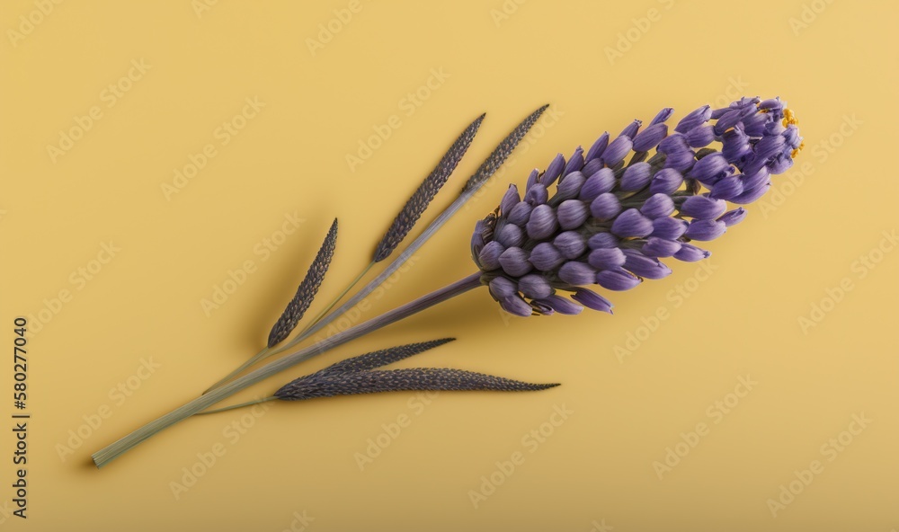  a purple flower on a yellow background with a stem in the middle of the flower and a stem in the mi