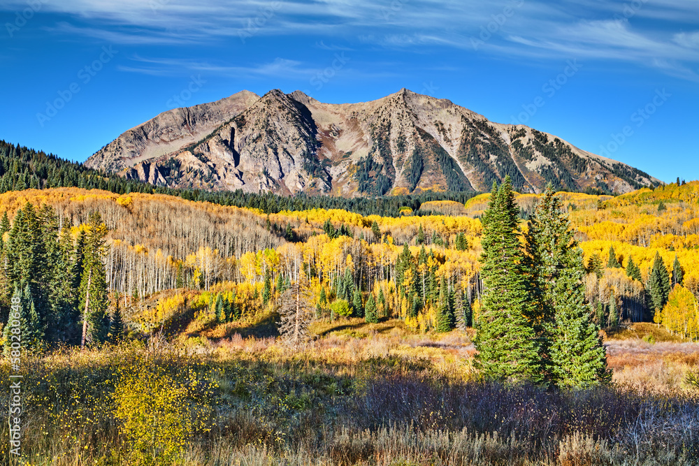 East Beckwith Mountain, Colorado, USA