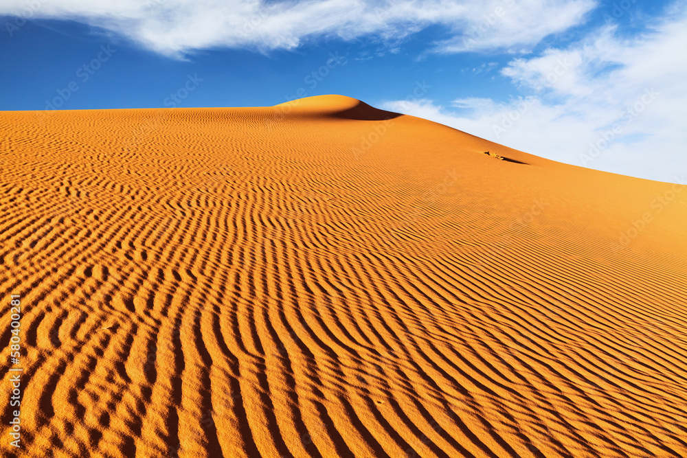 Dunes of Sahara Desert