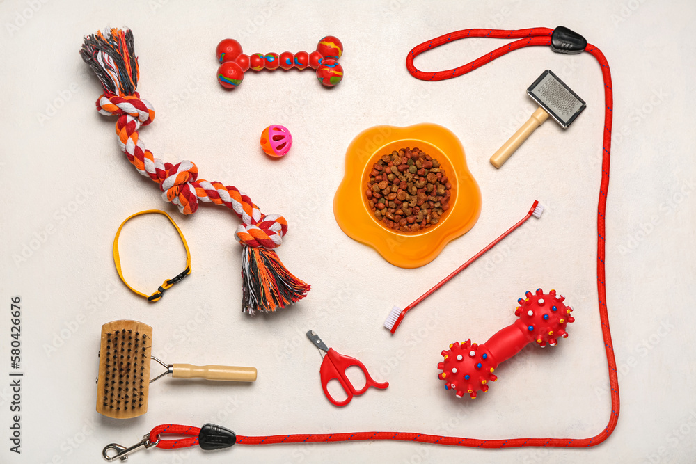 Set of different pet care accessories and dry food on light background