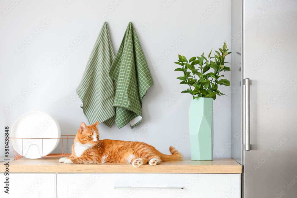 Cute red cat lying on counter in light kitchen