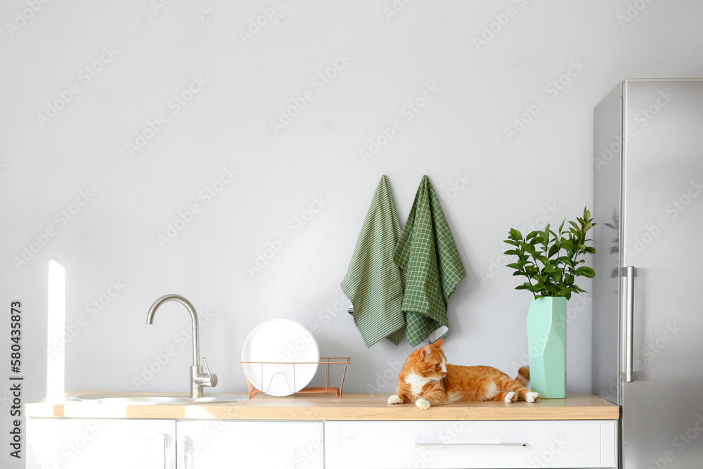 Cute red cat lying on counter in light kitchen