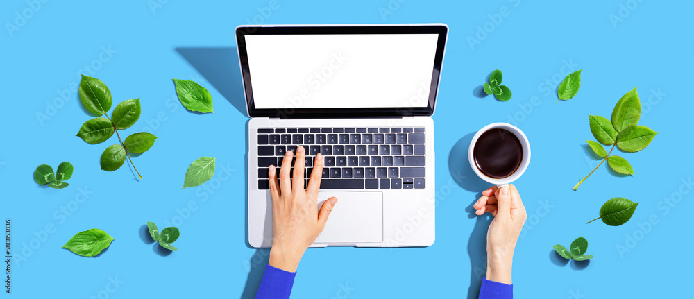 Person using a laptop computer with green leaves - flat lay