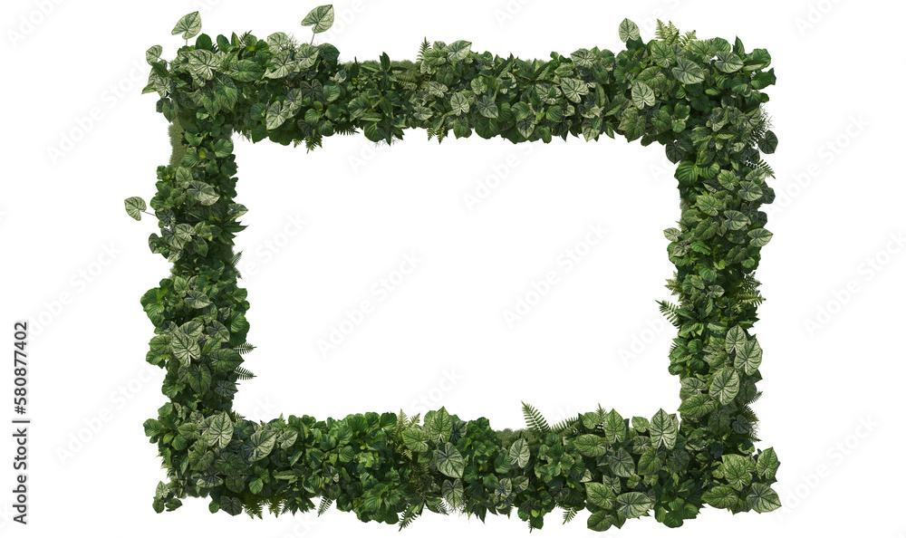 Tropical plants in vertical garden form on a transparent background.