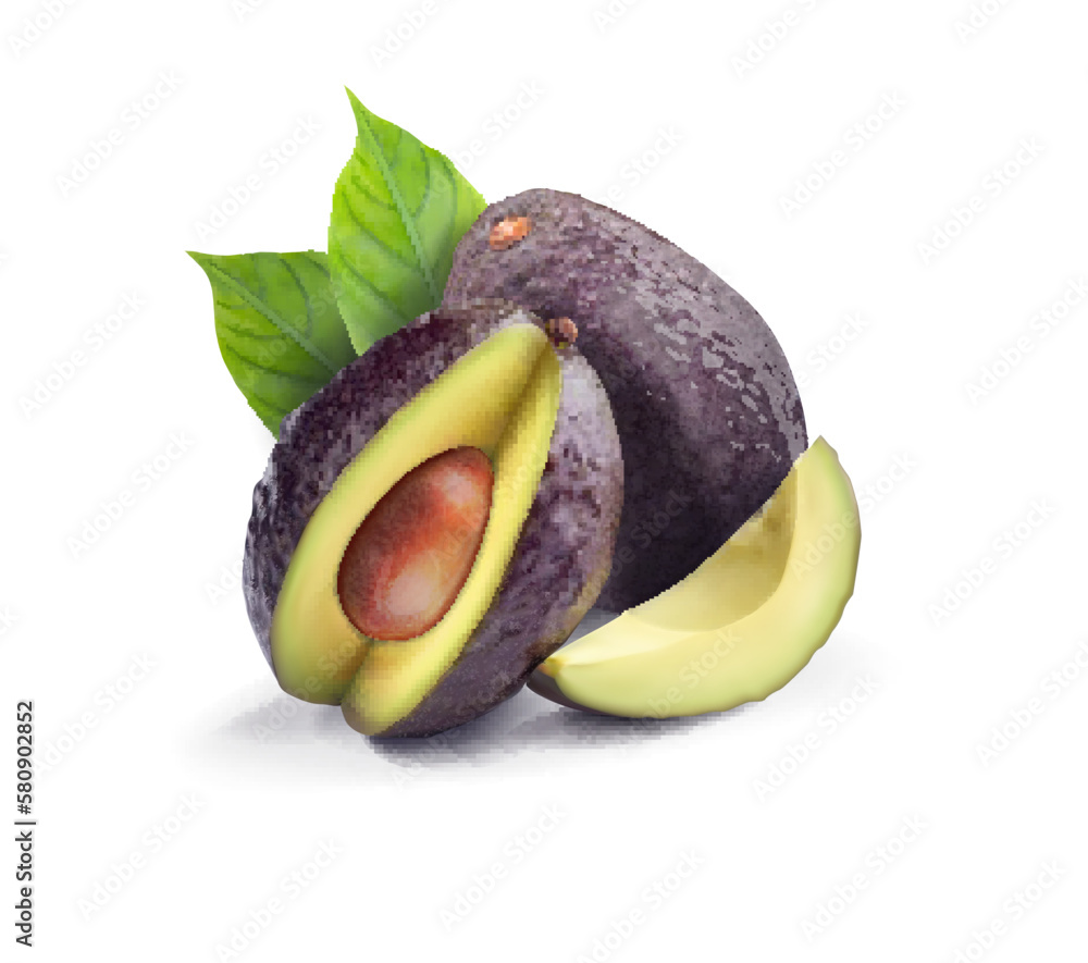 Beautiful composition of avocado with green leaves. Vector illustration.