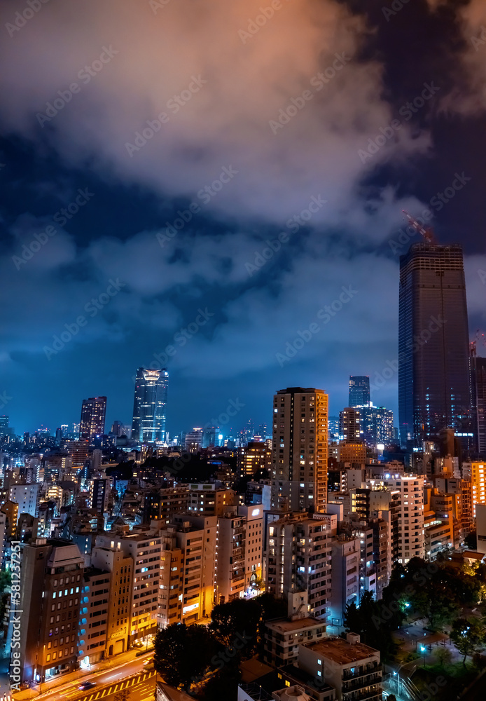 Skyscrapers and highways through Minato, Tokyo, Japan