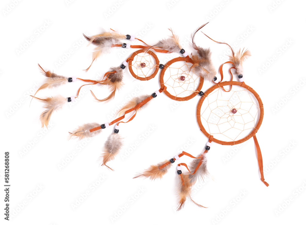 Beautiful dreamcatcher on white background