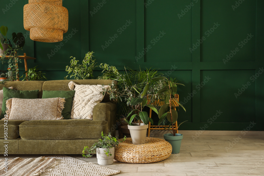 Interior of living room with green sofa and houseplants