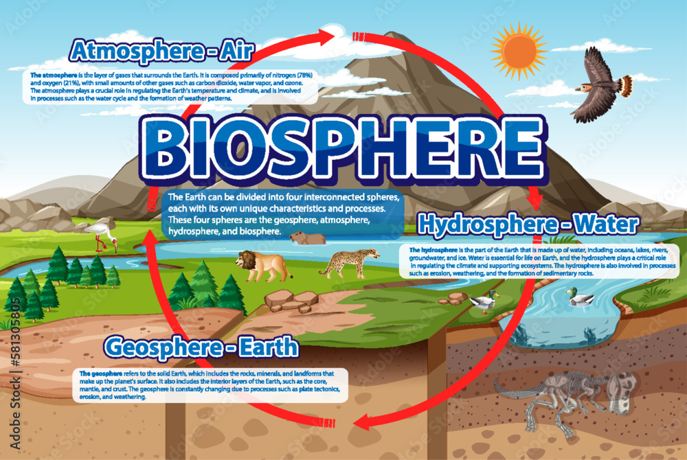 Biosphere Ecology Infographic for Learning