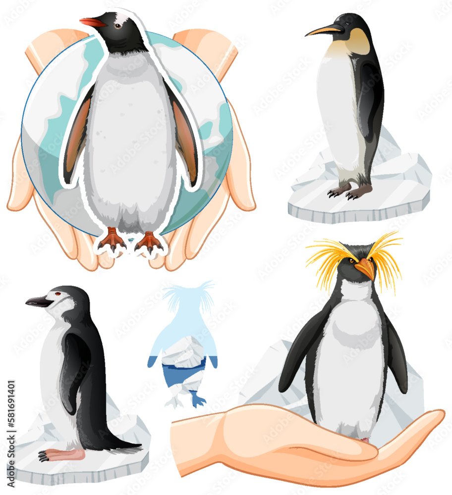 Cute Penguin Icons Set